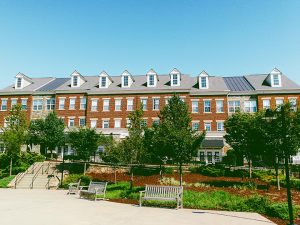 Row of Townhouses in Idyllic Community