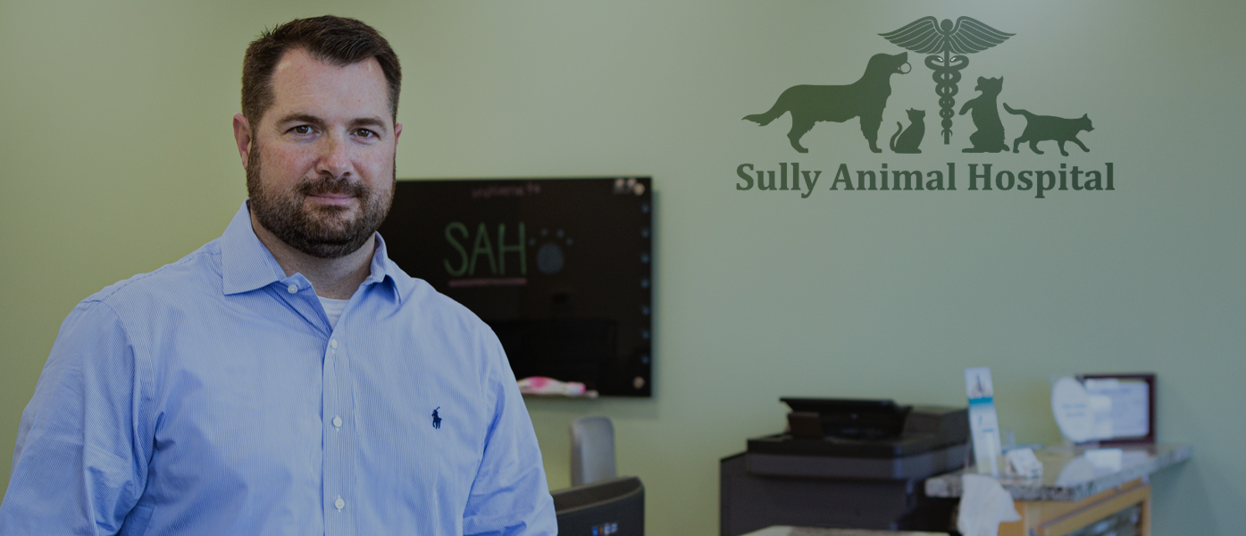 Dominic Taddeo, Sully Animal Hospital