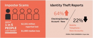 csn data book 2021 - identity theft