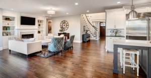 elegant open space living room kitchen with stainless steel appliances