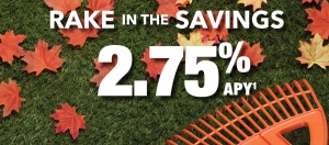Rake in the Savings 2.75% Annual Percentage Yield