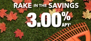 Rake in the Savings 3.00% APY