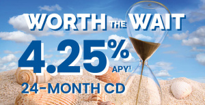 Worth the Wait 4.25% APY 24-Month CD