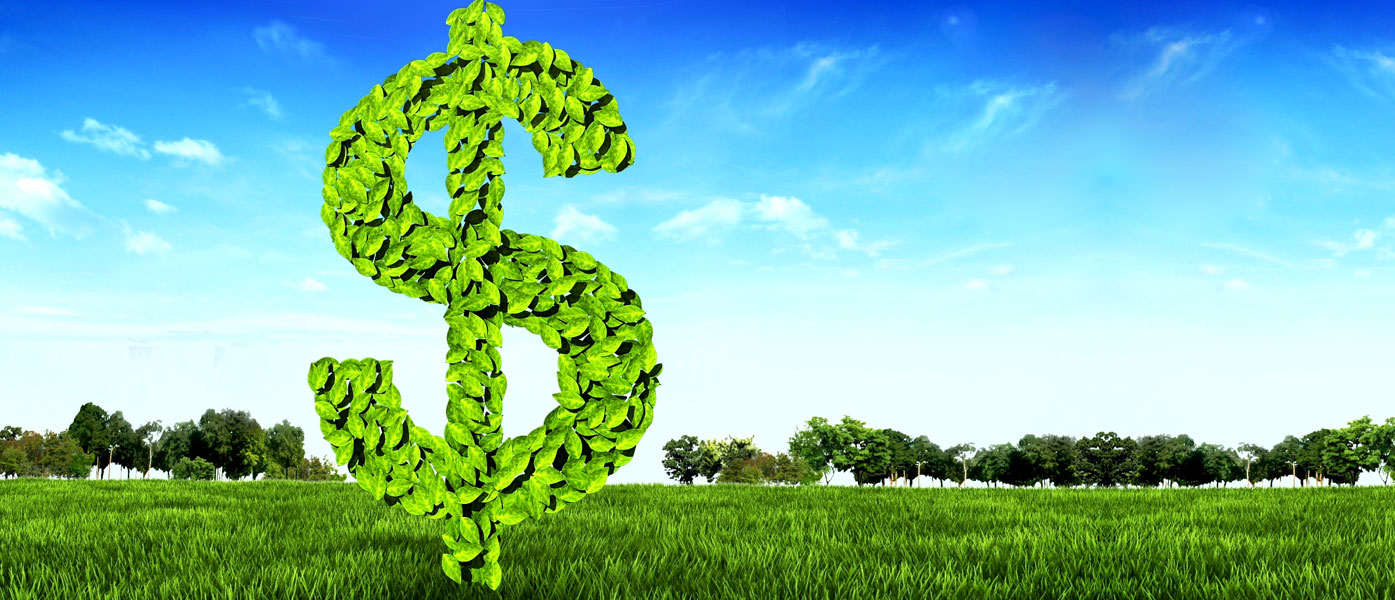 Keen on Green CD 6-Month 5.05% APY dollar sign made out of leaves on background of grass