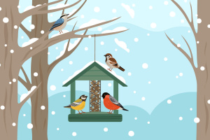 Birds congregating at feeder in snowy woods
