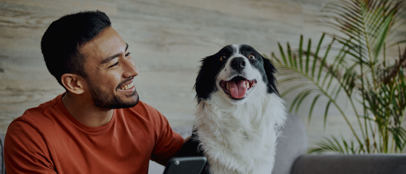 Companion CD and Savings Package - dog owner smiling at dog