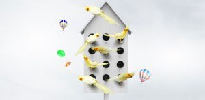 Cluster of yellow birds sitting on hovering around multi holed birdhouse