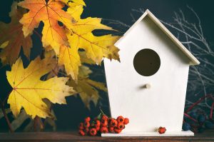 white birdhouse with yellow fall leaves and orange berries