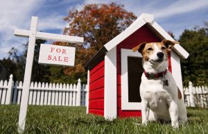 Red dog house with For Sale sign and terrier dog in front
