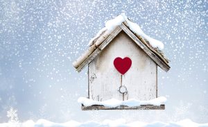 Bird's Nest with Heart Shaped Entry surrounding by falling snow