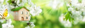 Springtime bird house with yellow bird perched outside on branch