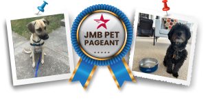 JMB Pet Pageant Frankie and Stuey