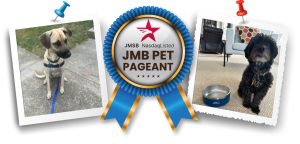 JMB Pet Pageant Frankie and Stuey