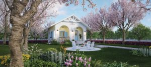 Small white single family house with cherry blossom trees and flowers