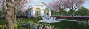 Small white single family house with cherry blossom trees and flowers